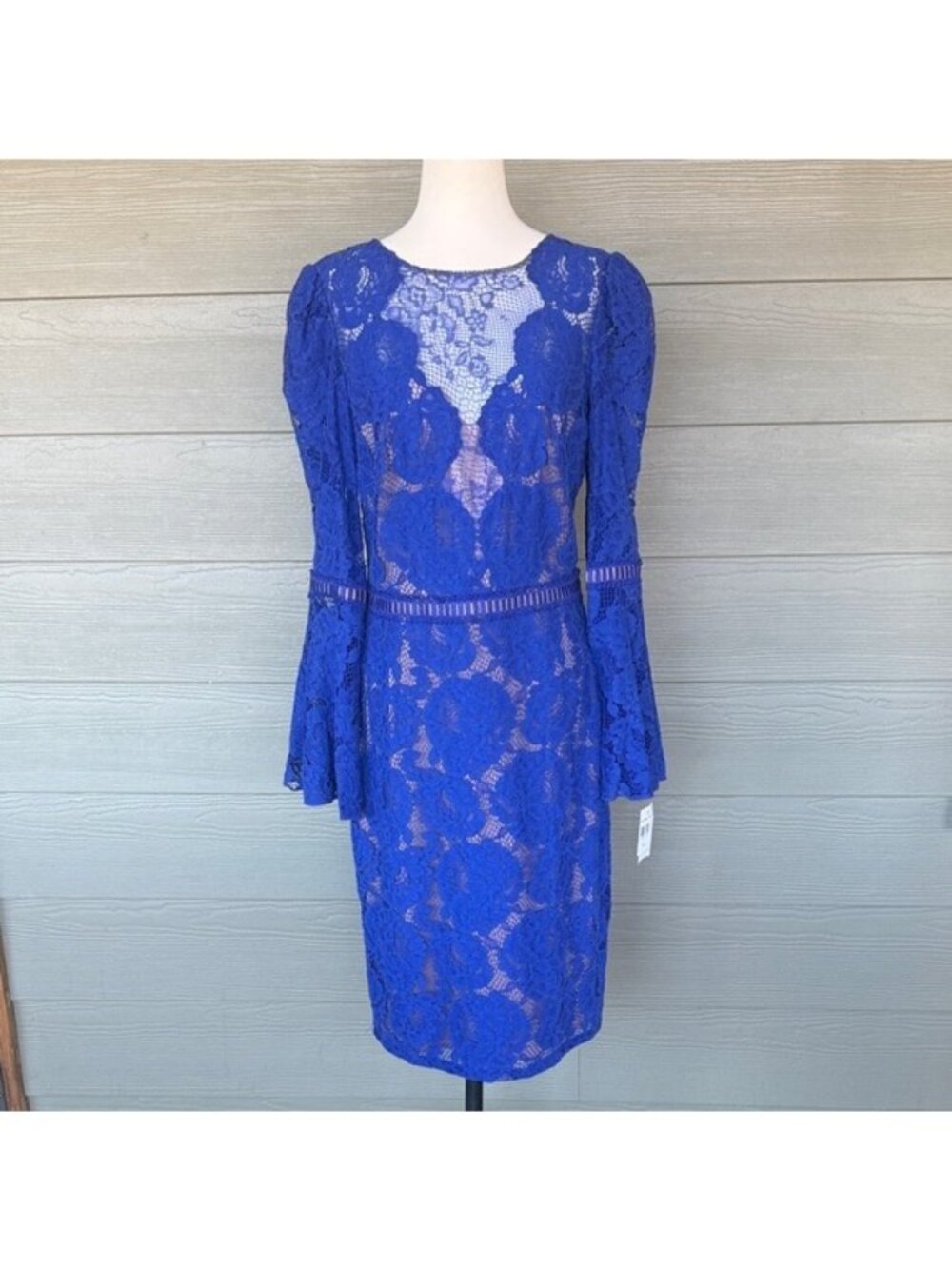 Tadashi Shoji Royal Blue Lace Bell Sleeve Dress